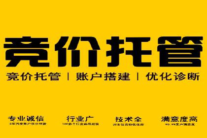 竞价推广的技巧与案例分享